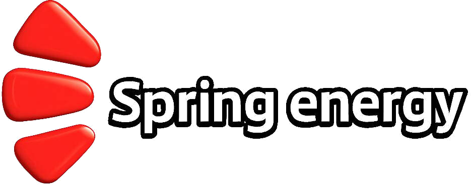 Logo ufficiale Spring Energy S.p.A.